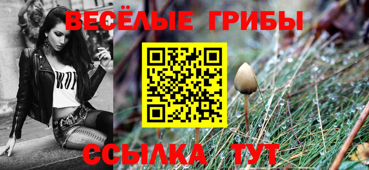 Галлюциногенные грибы Cubensis Волоколамск