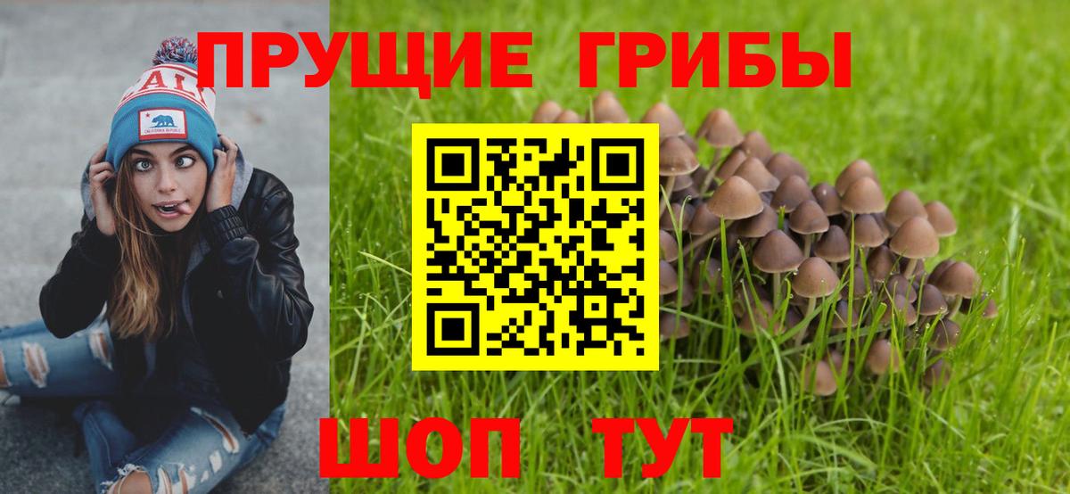 Псилоцибиновые грибы ЛСД  Вход с VPN  Волоколамск 